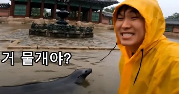 Video AI giả cảnh lũ lụt tại cung điện gây lo ngại về deepfake ở Hàn Quốc