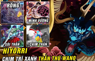 Giả thuyết One Piece: Hiyori chính là “chim trĩ” trong cậu bé quả đào thay vì Marco như chúng ta vẫn nghĩ? (P.1)