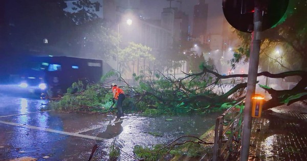 Siêu bão Ragasa: Sóng lớn 