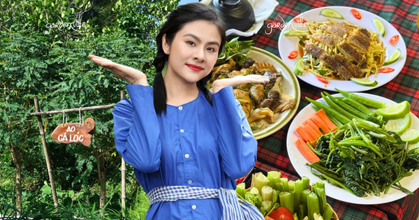 Nữ diễn viên quê Tiền Giang sở hữu cả một khu sinh thái rộng 5 hecta, nhìn cây cối xanh mướt mà ai cũng phải khen: Mẹ 4 con vừa giàu vừa giỏi