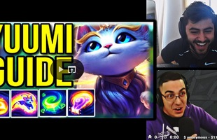 LMHT: Yuumi - Tướng mới 