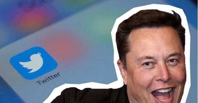 Elon Musk chọc tức những người nổi tiếng từng chê bai dấu tick xanh của Twitter