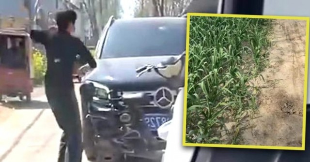 Người phụ nữ đập nát xe sang vì tài xế dám cán qua cây tỏi cô trồng