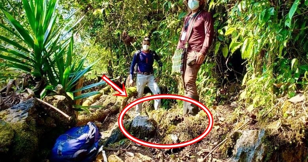 Lần theo tiếng động trên đám rêu ẩm ướt, cán bộ kiểm lâm hân hoan tìm thấy loài "tuyệt chủng" hơn 40 năm