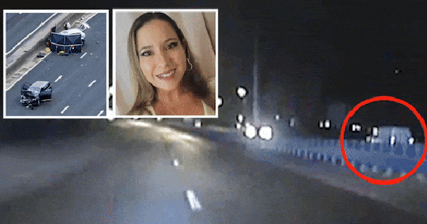 Chạy ngược chiều trên cao tốc, tông xe khiến 2 người thiệt mạng, tài xế nhận bản án chưa từng có