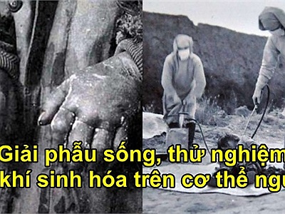 Những thí nghiệm 