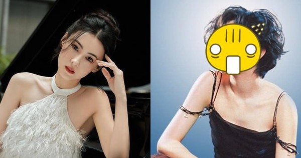 Oan cho Trương Bá Chi