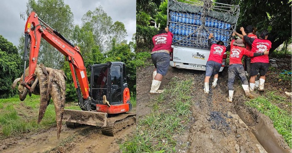 Thái Lan: Sợ cá sấu xổng chuồng khi lũ lụt, chủ trại 