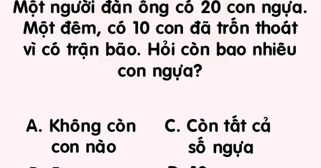 Giải được 6 câu đố học búa này, bạn cực kỳ thông minh