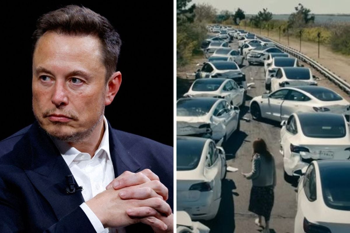 Elon Musk đưa ra lời bình luận với cảnh liên quan đến Tesla trong Leave The World Behind