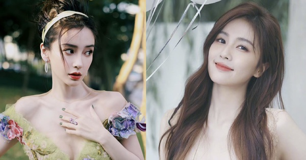 Angelababy bị show truyền hình hất cẳng, đánh mất vị thế 