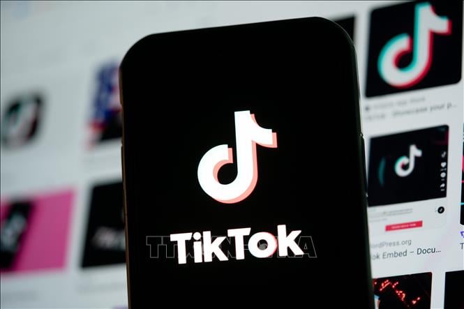 Smartphone cài sẵn TikTok tại Mỹ được rao bán với giá hơn 1 triệu USD