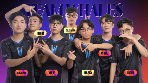 Team Whales “gáy khét” sau khi dễ dàng vượt qua tân binh MGN Box Esports: Đó là cách để vô địch