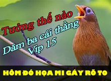 Chết cười giải đấu chiến thuật: Toàn các Vip gáy 