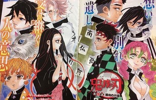 Kimetsu no Yaiba chương 200: Muzan bị đánh bại, hàng loạt nhân vật chính hy sinh