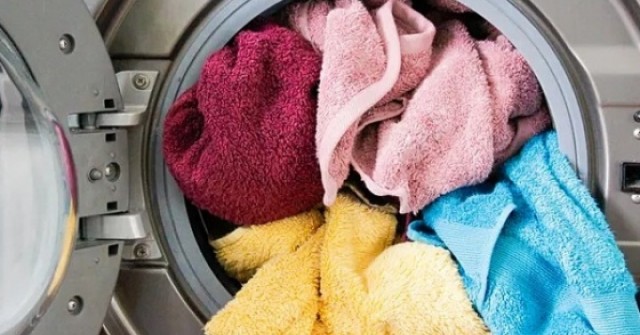 Người trẻ bỏ việc lương cao để 'được sống có ý nghĩa'