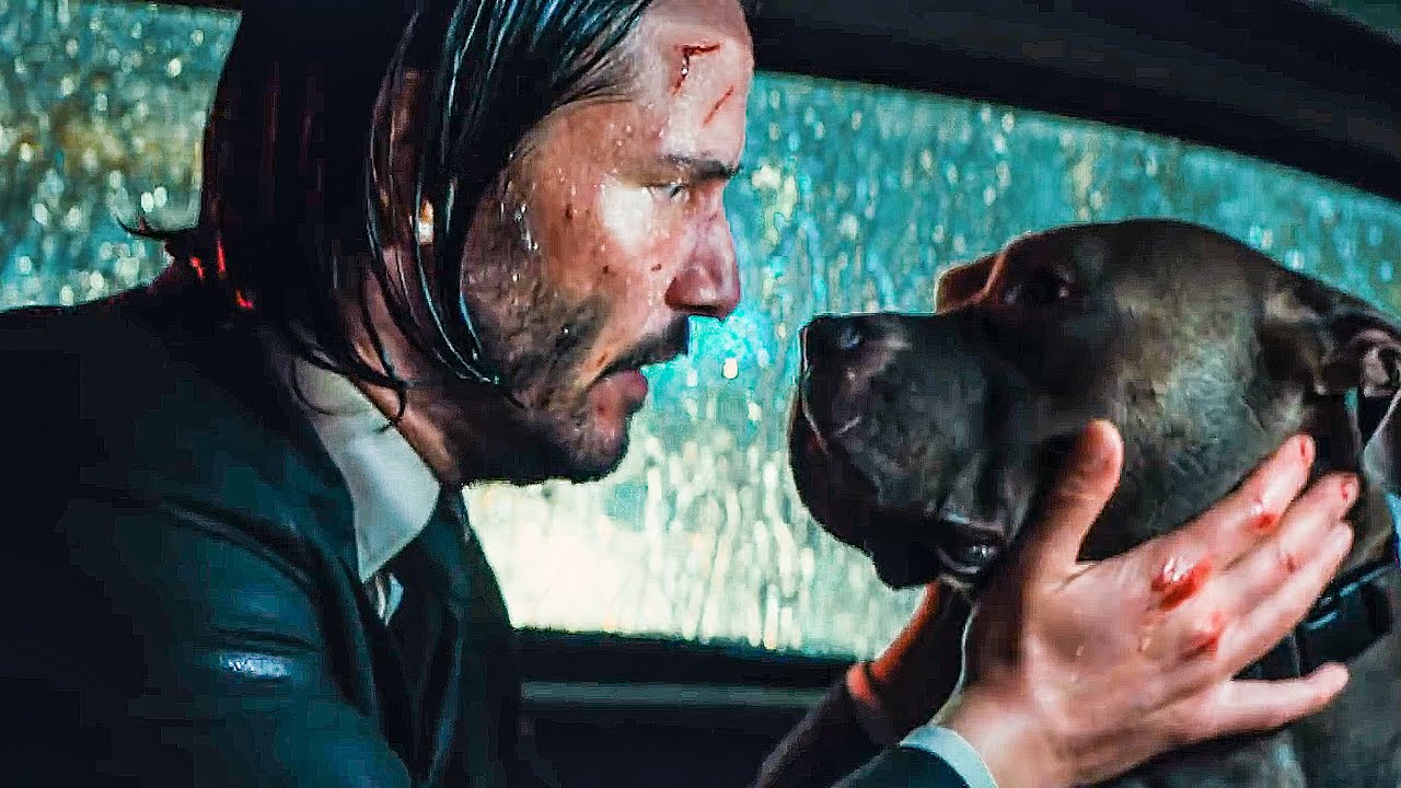 Cún con xấu số của John Wick hiện ra sao?