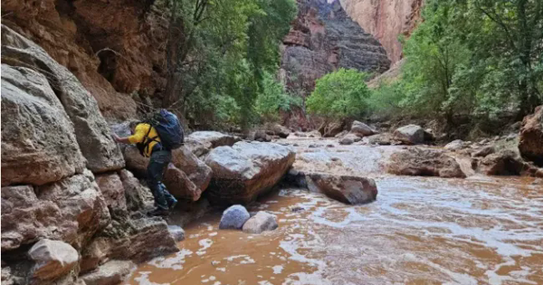 Lũ quét ở Grand Canyon, Mỹ: Hơn 100 người được cứu, tìm thấy thi thể của người đi bộ đường dài mất tích