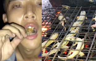 Làm hẳn clip “mukbang” thạch sùng để câu view, nhà sáng tạo nghèo nàn “content” đến thế sao?