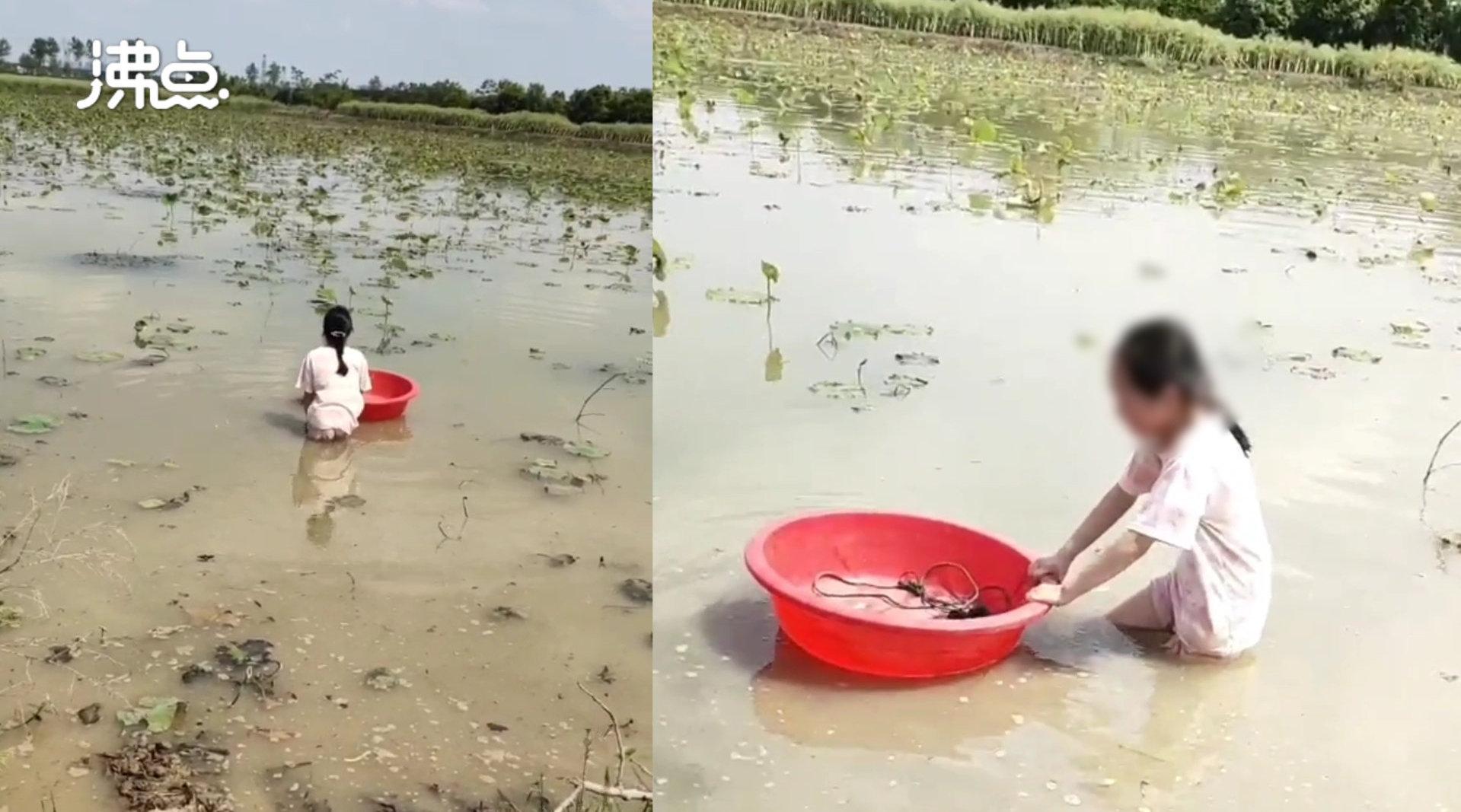 Con gái than chán học, ông bố lôi thẳng ra hồ bắt mò tôm 4 tiếng đồng hồ dưới trời nắng gắt