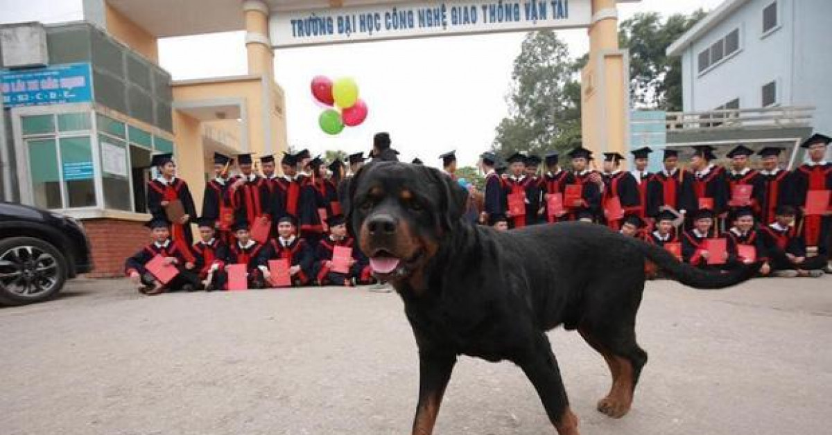 Đang hào hứng chụp ảnh kỷ yếu, học trò dở khóc dở cười khi có 