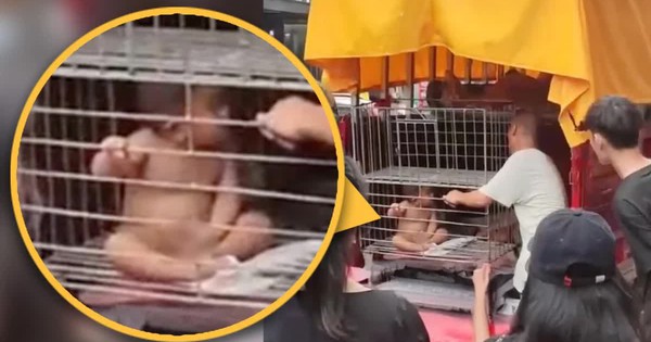 Sốc trước cảnh ông bố nhốt con trai nhỏ trong lồng sắt giữa phố