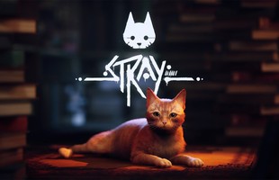 4 điều thú vị khiến Stray trở thành hiện tượng của làng game thế giới