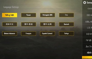 Tự tiện làm file Việt hoá, game thủ PUBG Mobile bị khoá account 10 năm