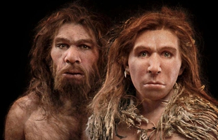 Tại sao người Neanderthal lại thất bại trong cuộc chiến sinh tồn?