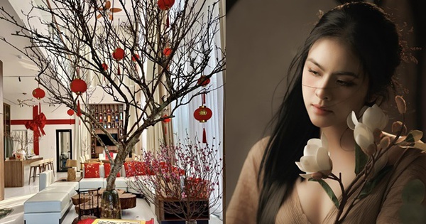 Nữ nghệ sĩ trẻ đẹp là CEO sở hữu spa làm đẹp, khu du lịch sinh thái 50.000m2, sinh 4 con cho đại gia
