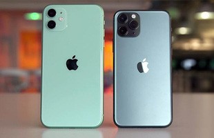 Những dòng iPhone giảm giá chưa từng có sau khi iPhone 12 ra mắt, cơ hội tốt nhất để mua