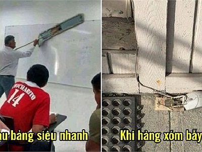 17 hình ảnh điên rồ khiến bạn 