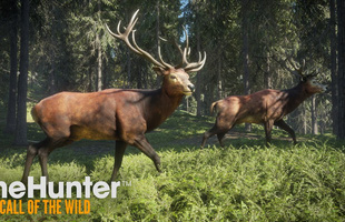 Tải miễn phí theHunter: Call of the Wild, game AAA đẹp ngây ngất