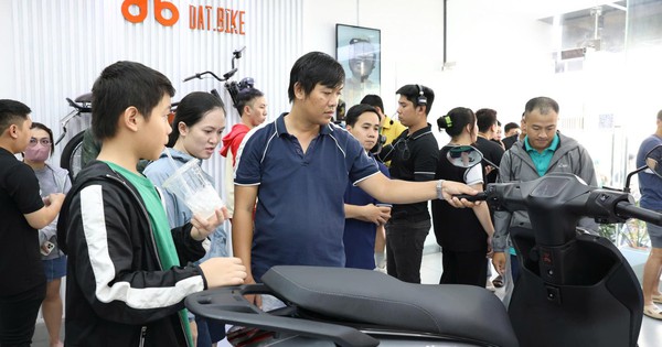 Chi 35-50 triệu mua xe máy điện, người dùng Dat Bike Quantum S-series nhận lại được gì?