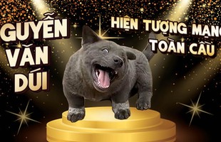 Hot như nhiều idol thật sự, chú chó Nguyễn Văn Dúi trở thành ngôi sao mạng, được yêu thích trên toàn cầu