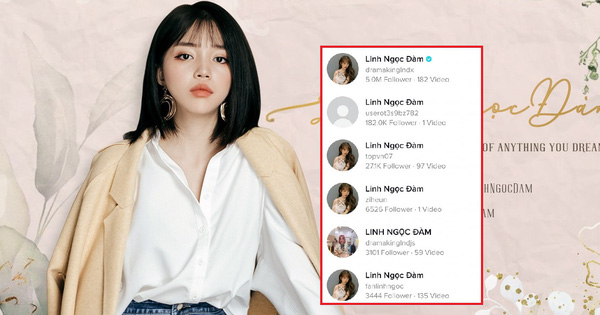 Linh Ngọc Đàm bị giả mạo tài khoản TikTok, nhưng lượng tương tác quá khủng khiến nhiều người phải bất ngờ!