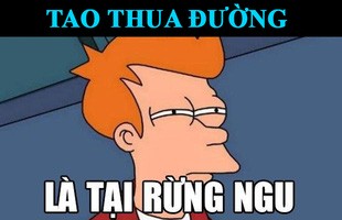 Có thể bạn không tin nhưng đây là 2 