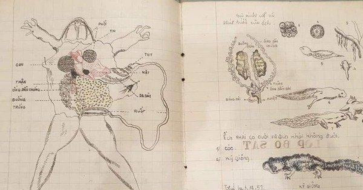 Quyển vở Sinh học hơn 60 năm trước khiến dân mạng 