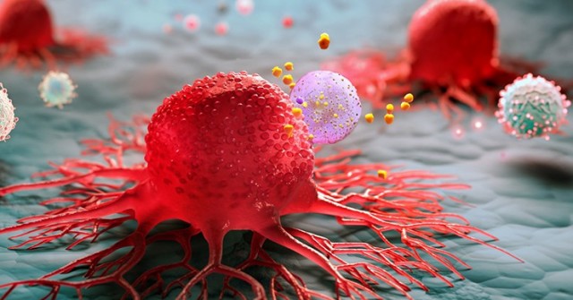 Phát hiện “chìa khóa” có thể giúp loài người chống lại virus ung thư