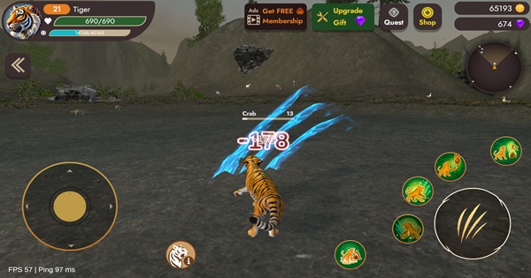 Thế giới hoang dã của Immortal Tiger: Hành trình sinh tồn không khoan nhượng