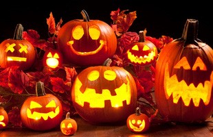 Vì sao bí ngô lại trở thành biểu tượng của ngày Halloween?