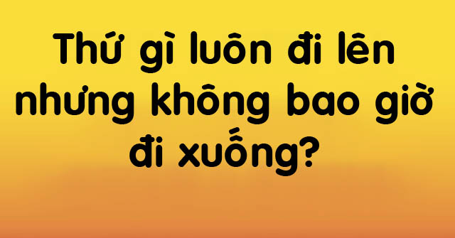 6 bài quiz giúp chọn ra những người xuất sắc