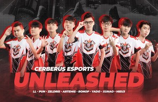 Giải mã màn lột xác của Cerberus Esports - Từ kẻ lót đường trở thành 'quái vật' không thể ngăn cản