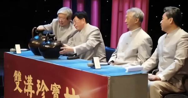 Rùa vàng trị giá hơn 2.000 tỷ đồng gây chấn động: Chuyên gia đòi thu giữ, bức thư tổ tiên khiến tất cả nghẹn lời