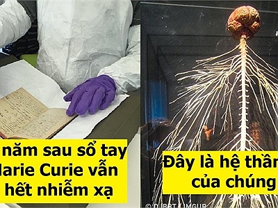 11 sự thật thú vị về thế giới, 1.500 năm sau sổ tay của Marie Curie vẫn chưa hết nhiễm xạ