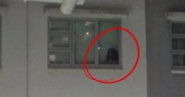 Nhìn lên cửa sổ, cả gia đình chứng kiến cảnh tượng nổi da gà