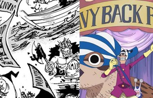 8 sự thật về trận chiến Davy Back Fight trong One Piece