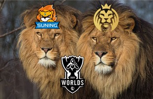 LMHT thế giới 24h qua - 2 chú sư tử Suning và MAD Lions cùng nhau có vé đi đến CKTG