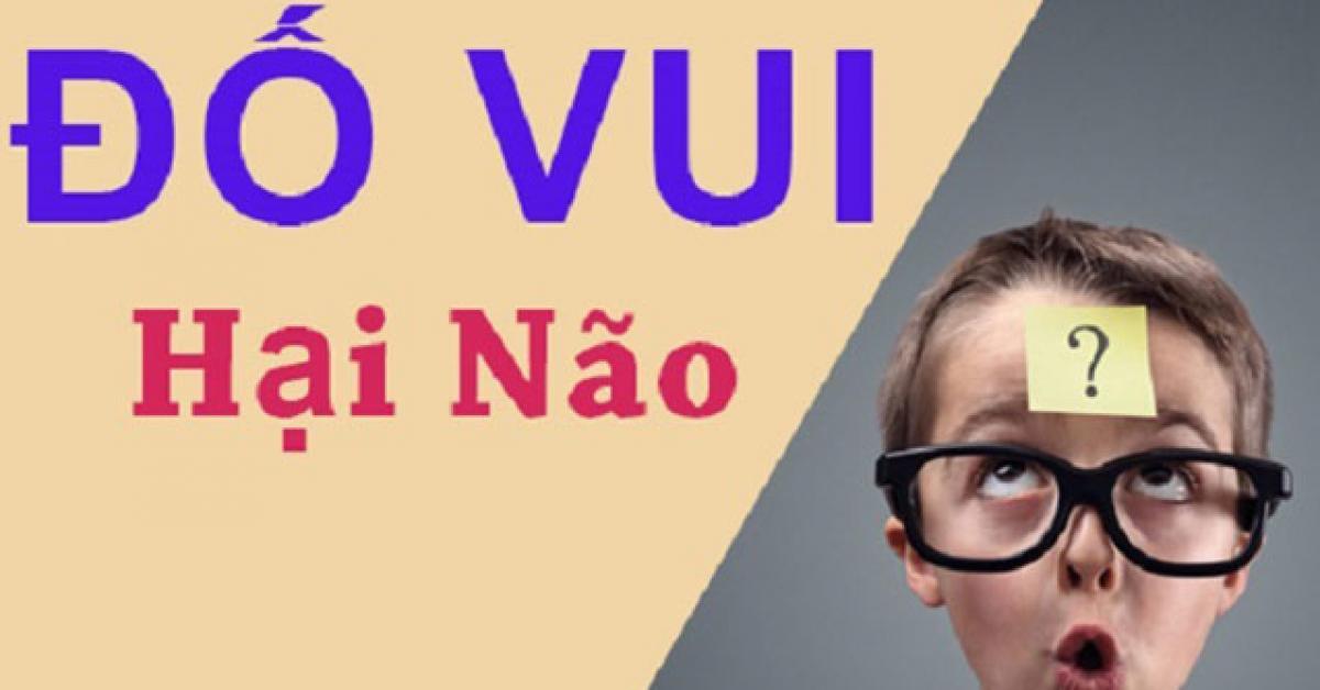 Quiz: Câu đố 