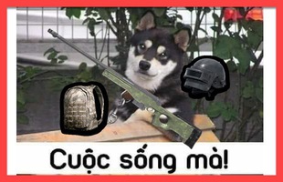 Cuộc sống mà… đôi khi chơi game phải bị lừa vài lần mới khôn lên được